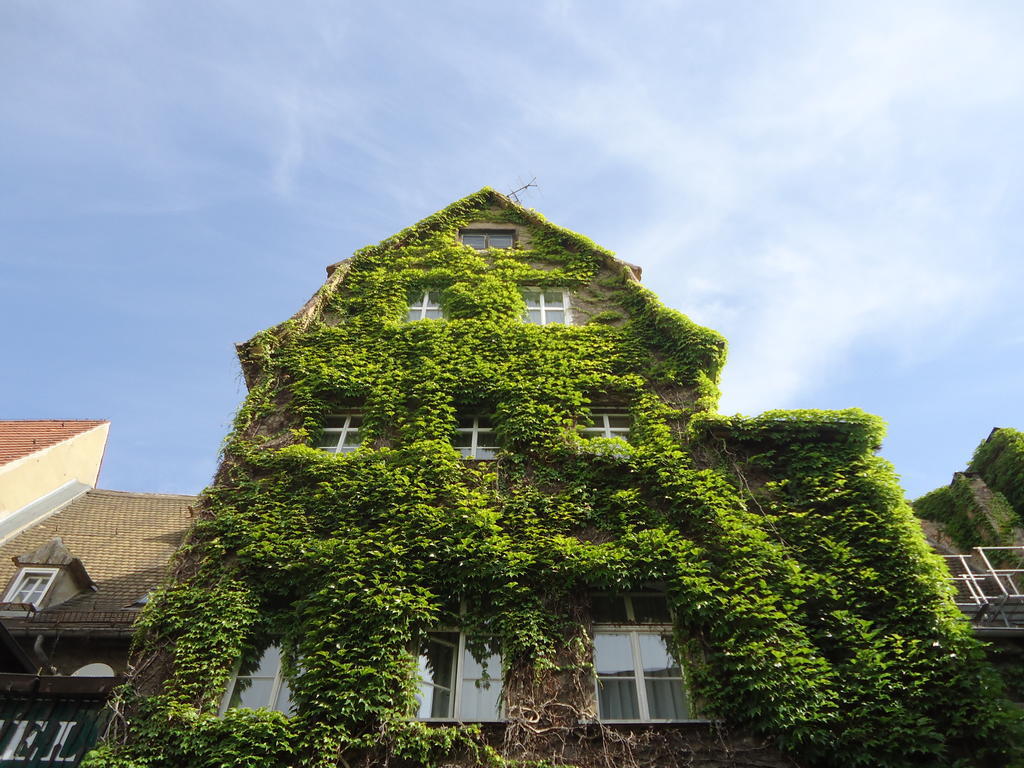 Am Ratshof Hotel Halle  Exterior photo